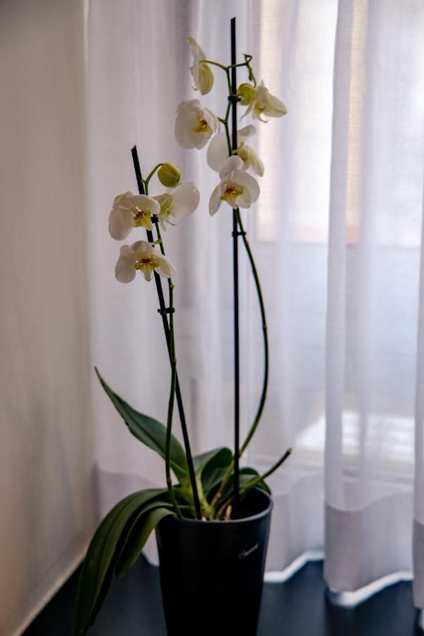 Triple A - Prime Location - Between Monastiraki & Syntagma Square-Free Parking! Athen Exterior foto